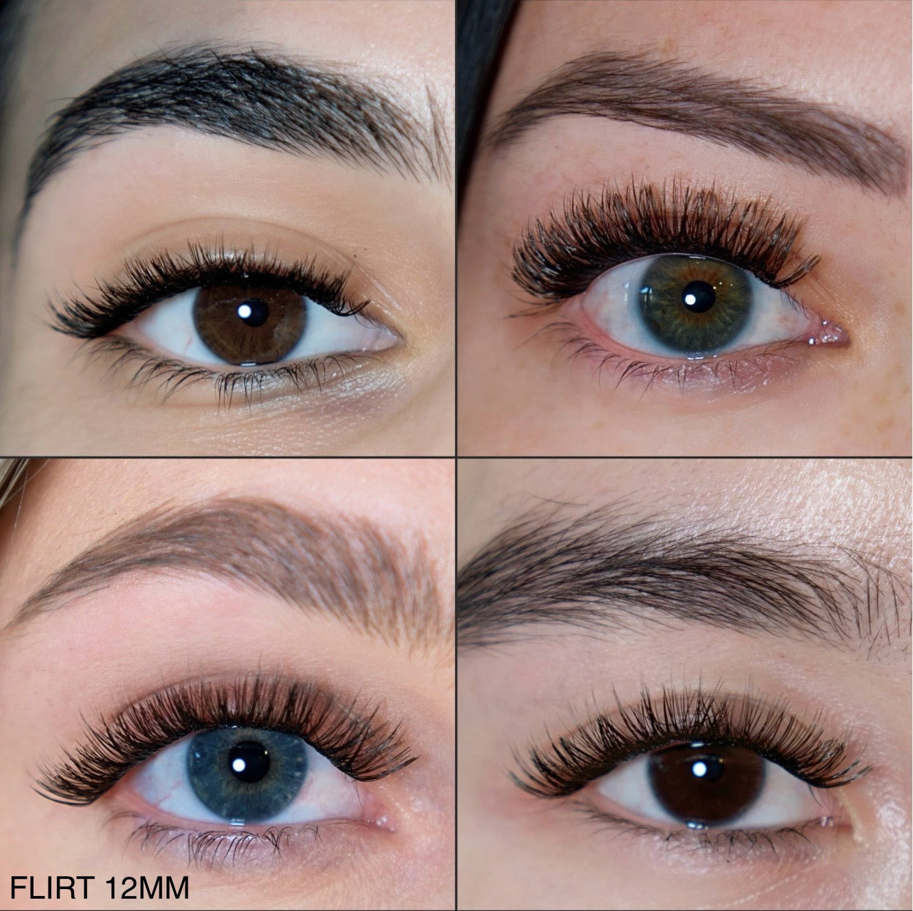 Flirt Single Lash