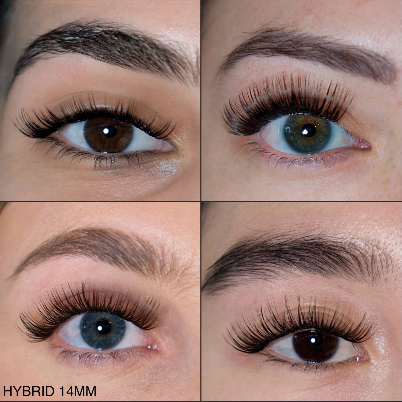Hybrid Single Lash