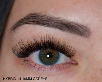 Hybrid lash book